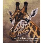 (image for) Female Giraffe